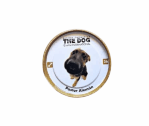 the-dog-objetos-retro